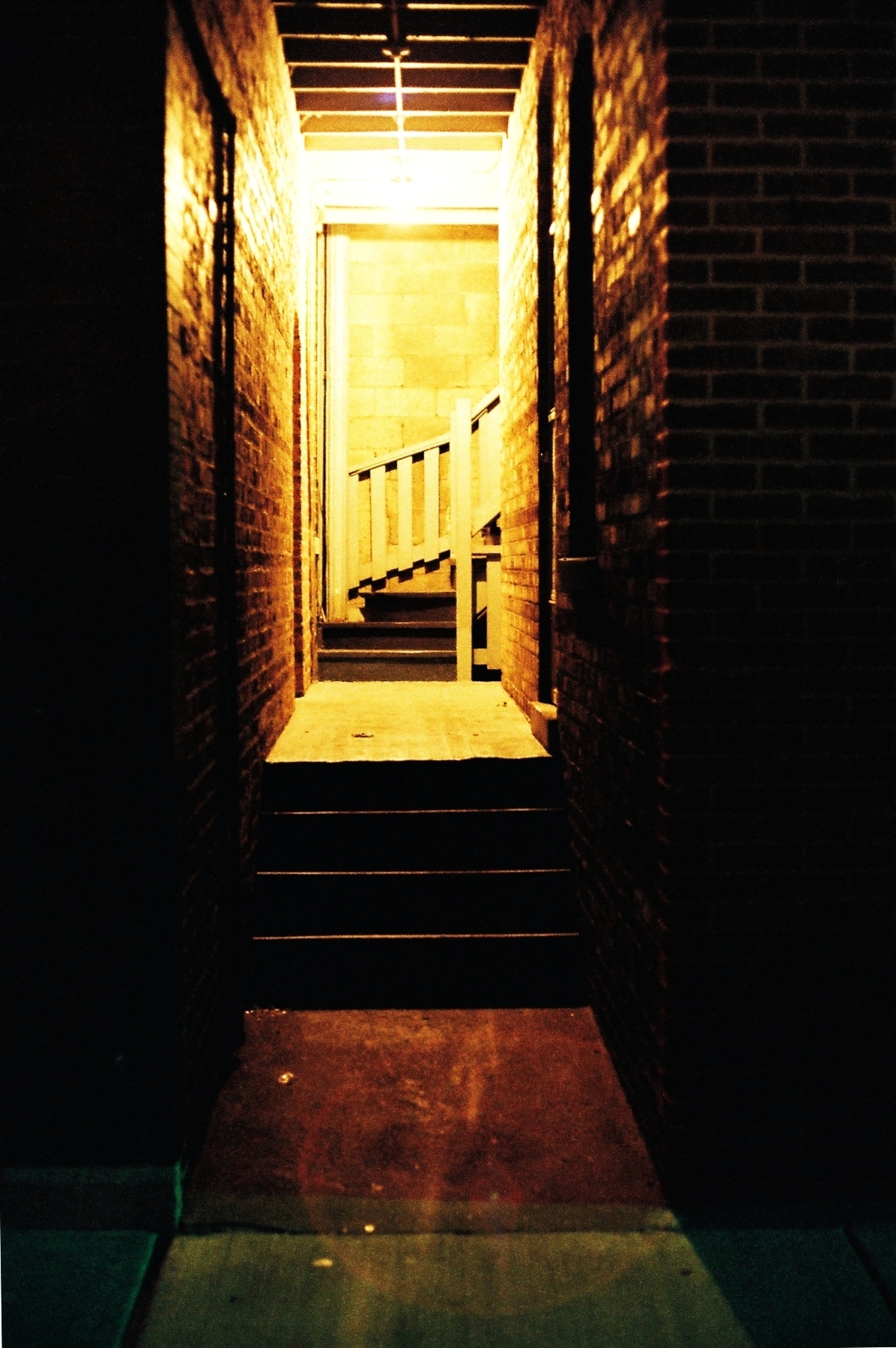 back door Shutterbug